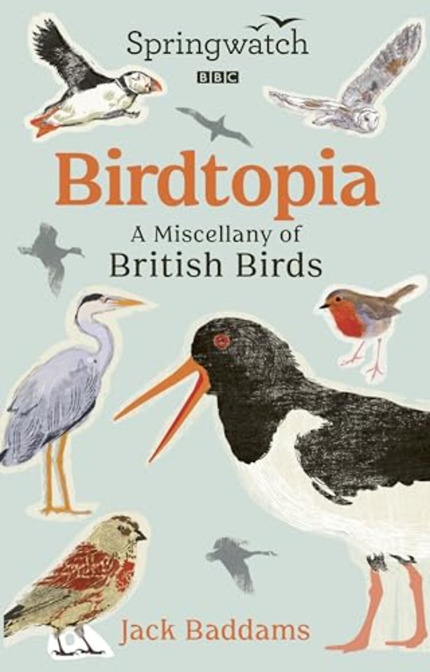 Springwatch: Birdtopia