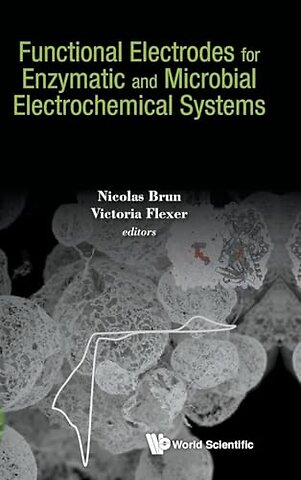 Functional Electrodes For Enzymatic And Microbial Electrochemical Systems