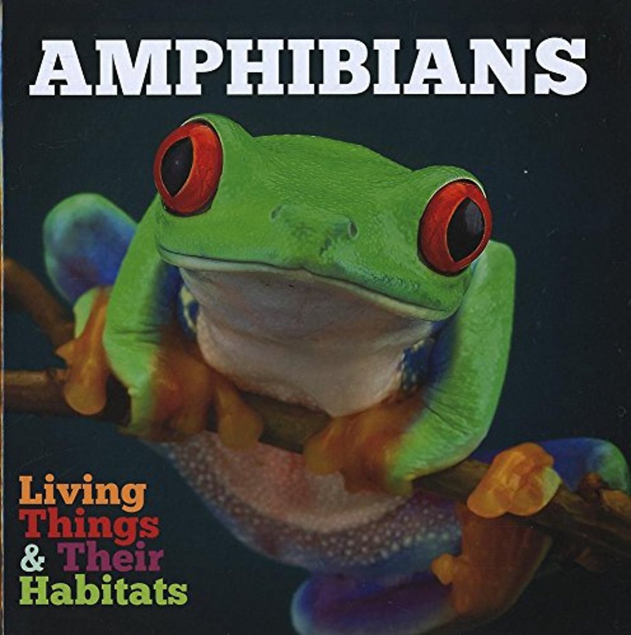 Amphibians