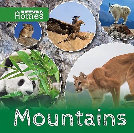 Mountains