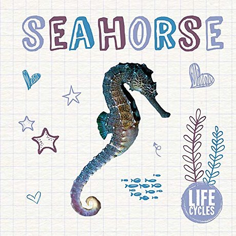 Seahorse