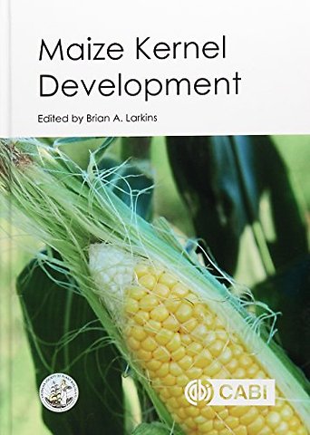 Maize Kernel Development