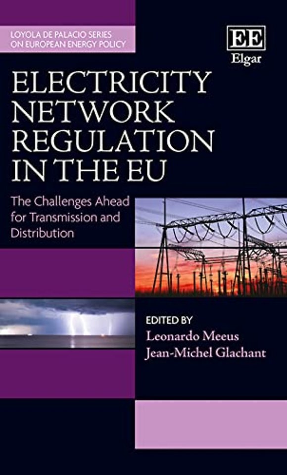 Electricity Network Regulation in the Eu