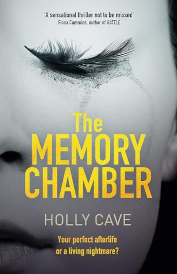The Memory Chamber