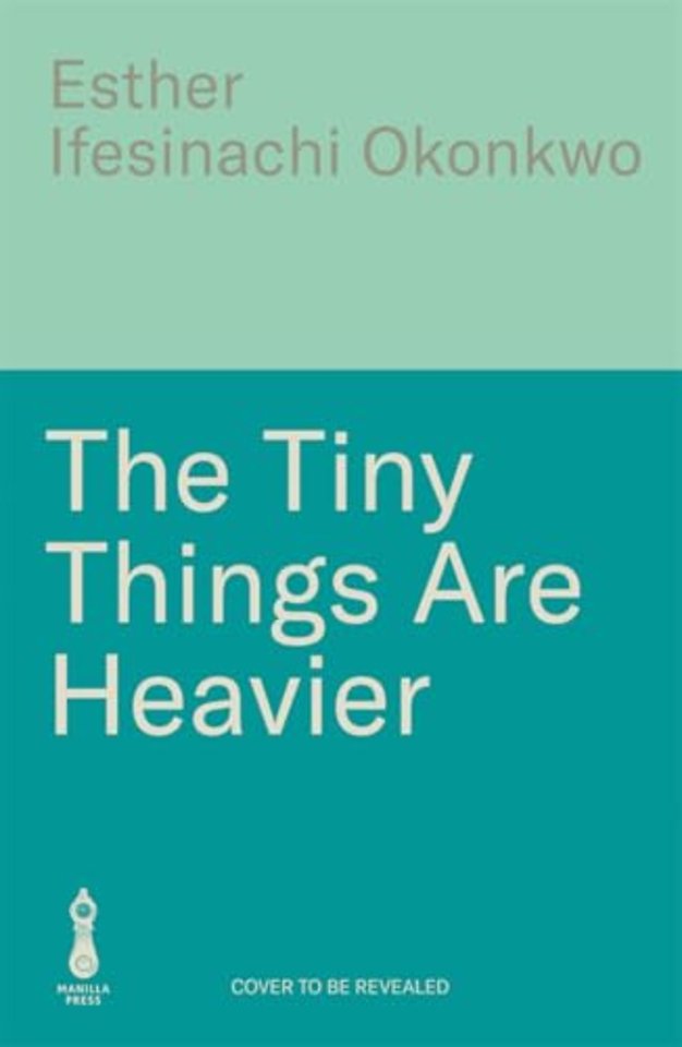 The Tiny Things Are Heavier