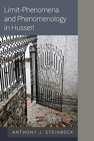 Limit-Phenomena and Phenomenology in Husserl