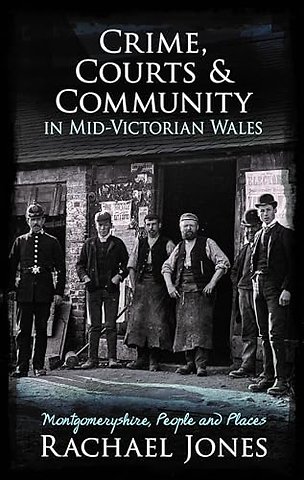 Crime, Courts and Community in Mid-Victorian Wales