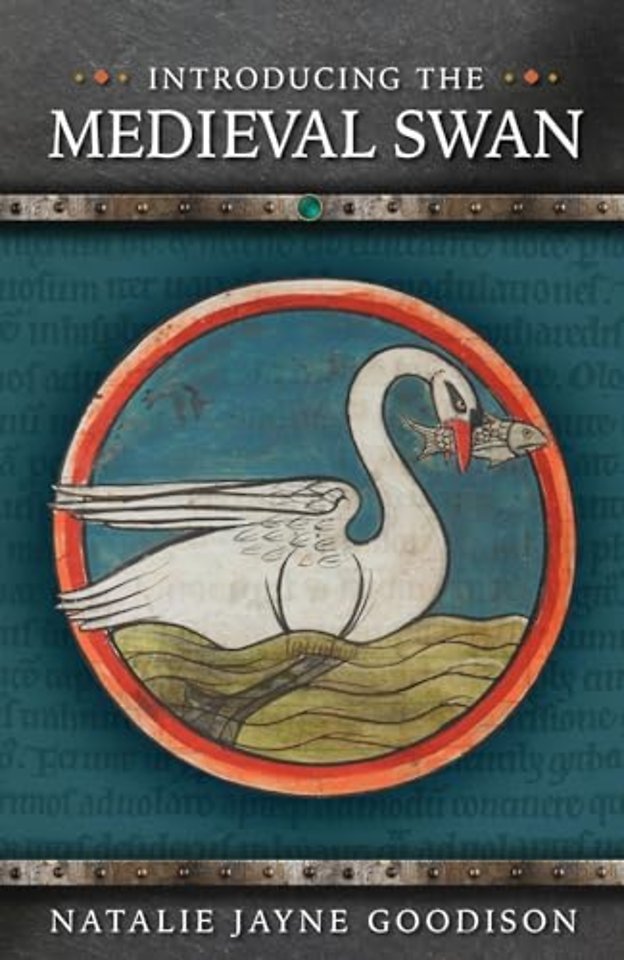 Introducing the Medieval Swan