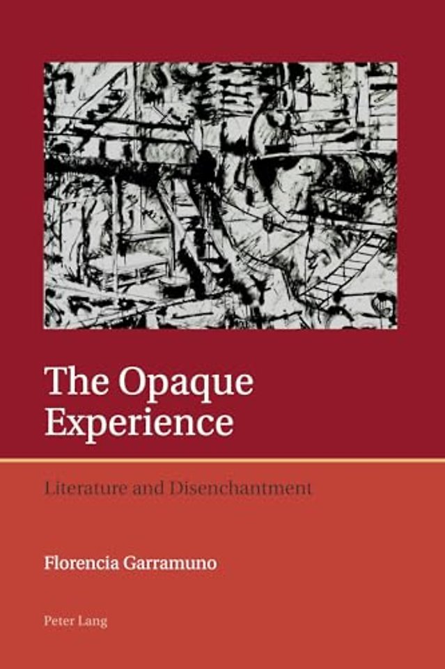 The Opaque Experience