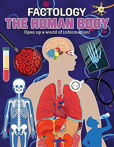 Factology: The Human Body