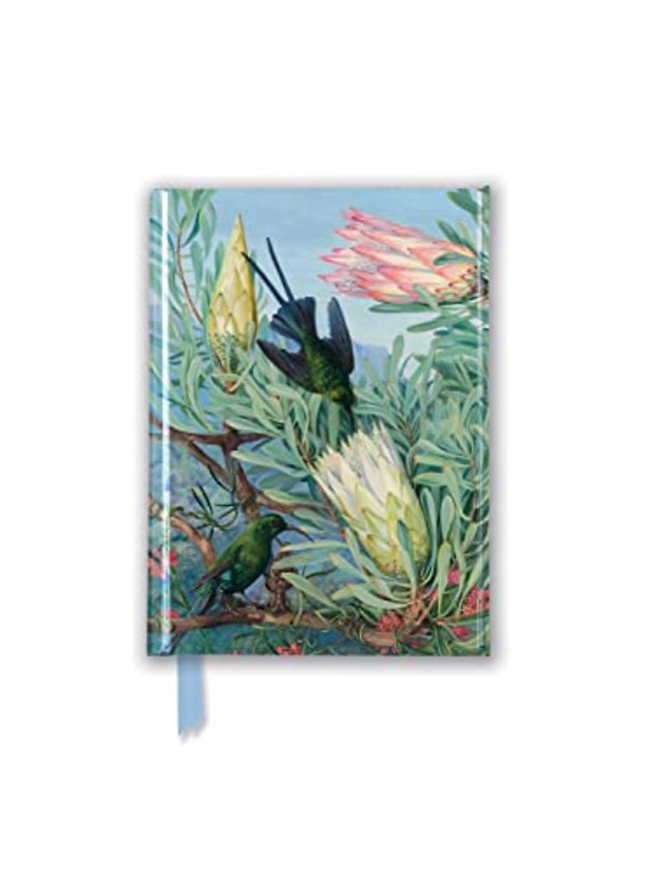 Kew Gardens: Marianne North: Honeyflowers and Honeysuckers (Foiled Pocket Journal)