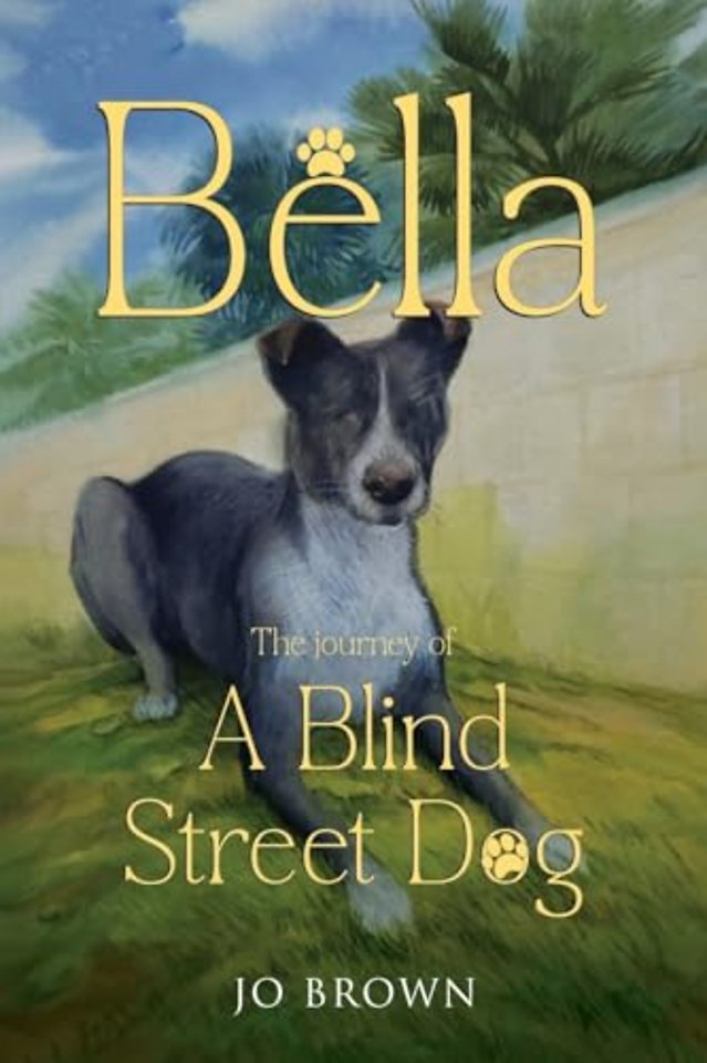 Bella, the journey of A Blind Street Dog