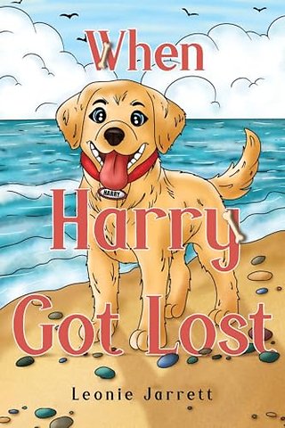 When Harry Got Lost