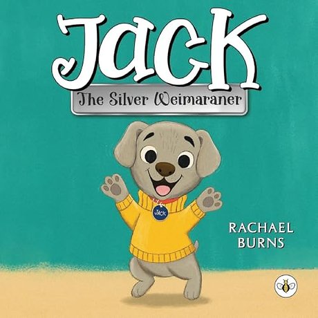 Jack the Silver Weimaraner