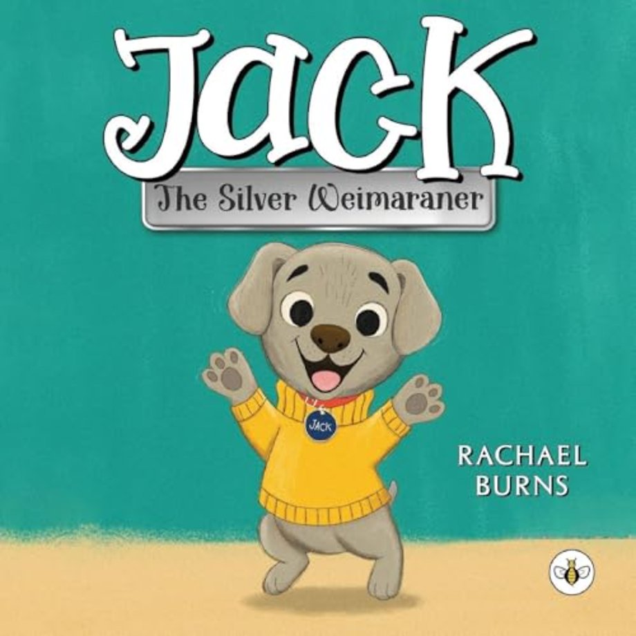 Jack the Silver Weimaraner