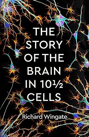 The Story of the Brain in 10½ Cells
