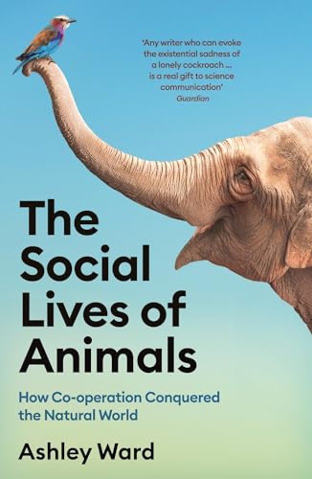 The Social Lives of Animals