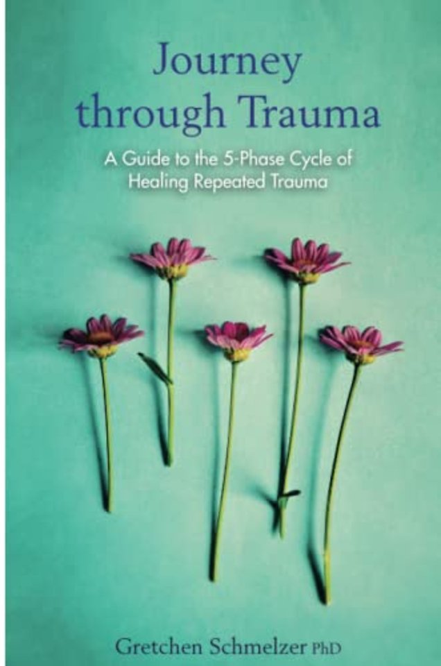 Journey through Trauma