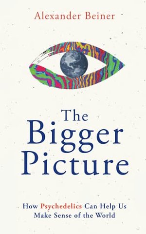 The Bigger Picture