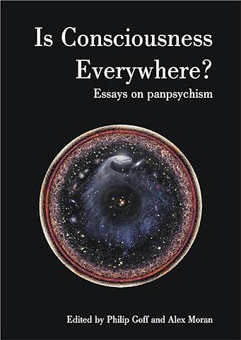 Is Consciousness Everywhere?