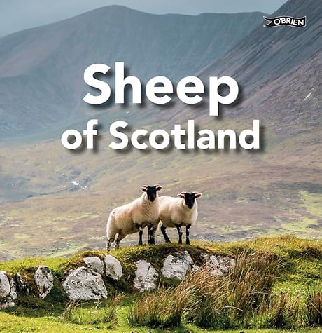 Sheep of Scotland