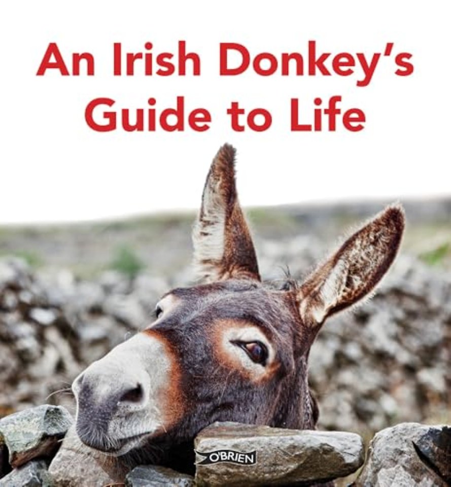An Irish Donkey’s Guide to Life