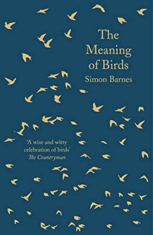 The Meaning of Birds