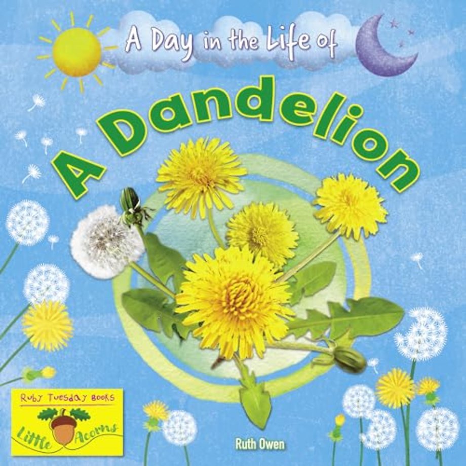 A Dandelion