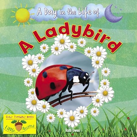 A Ladybird