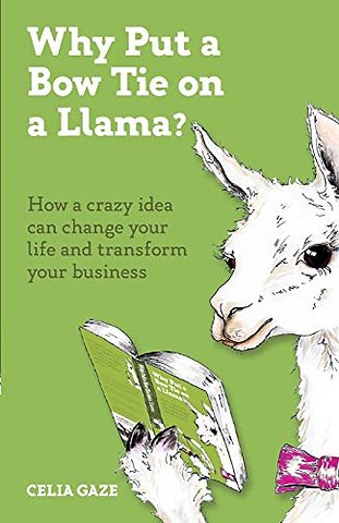 Why Put a Bow Tie on a Llama?