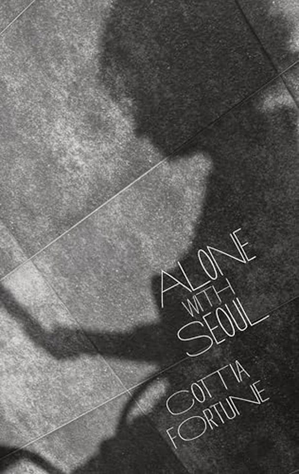 Alone with Seoul
