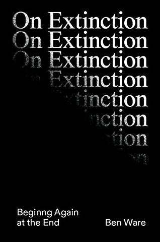 On Extinction