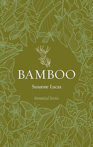 Bamboo