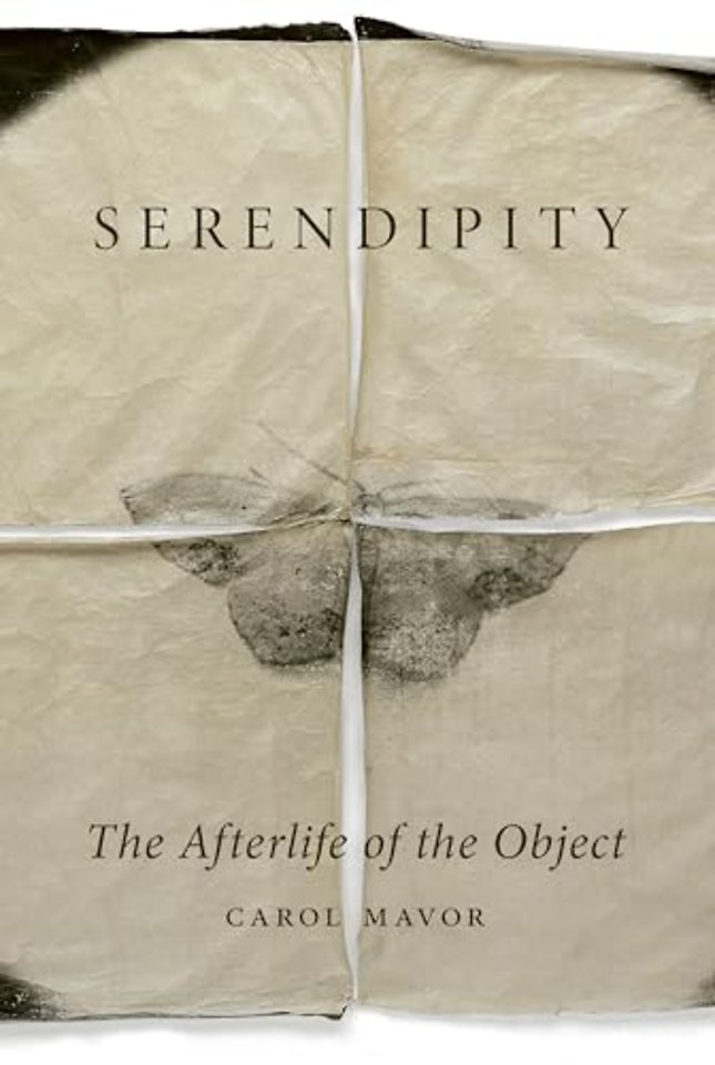 Serendipity