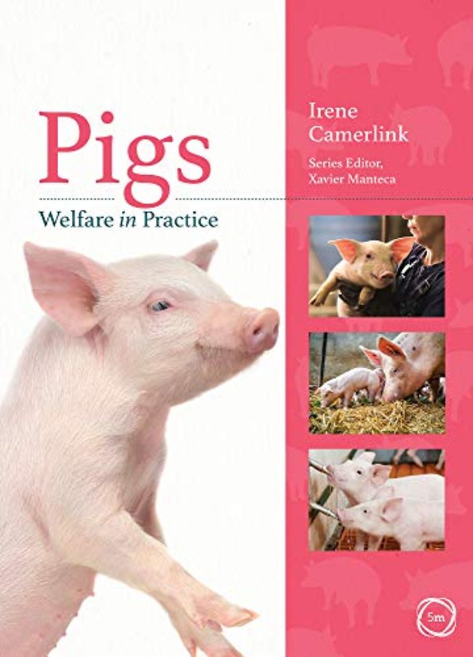 Pigs Welfare in Practice