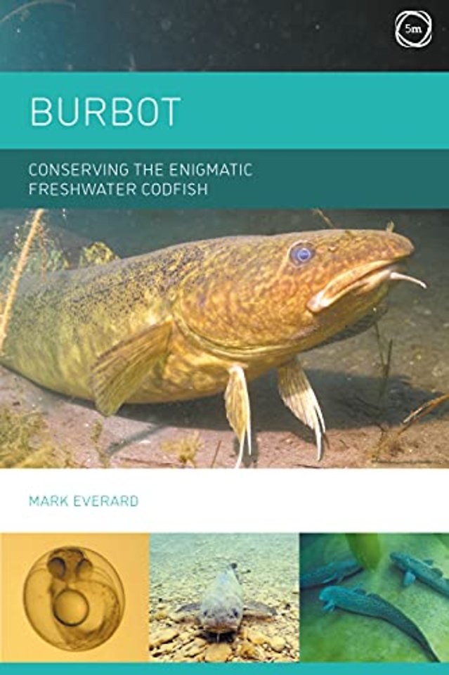 Burbot – Conserving the Enigmatic Freshwater Codfish