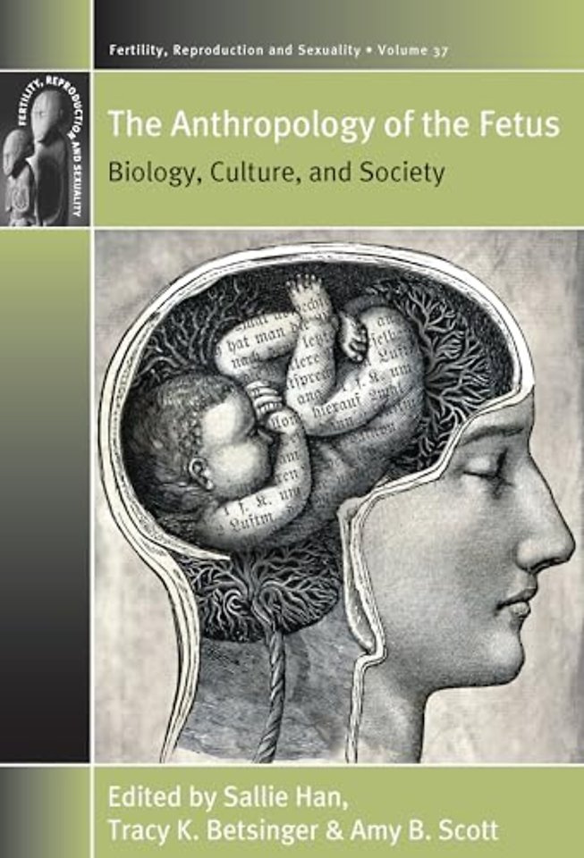 The Anthropology of the Fetus