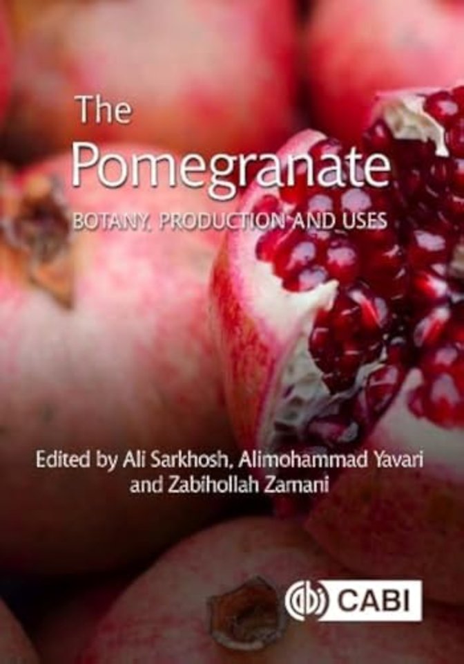 The Pomegranate