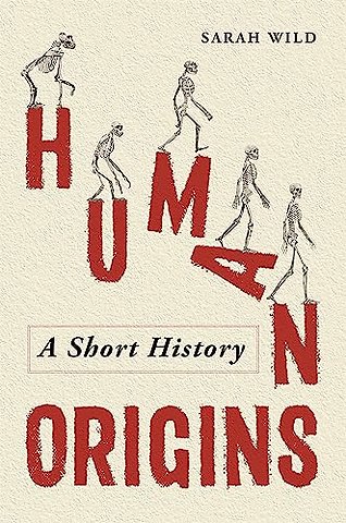 Human Origins