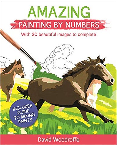 Amazing Painting by Numbers