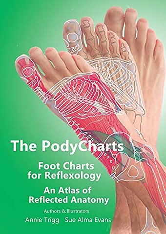 The PodyCharts foot charts for reflexology
