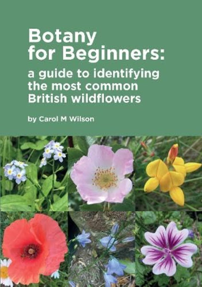 Botany for Beginners