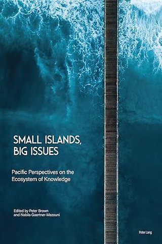 Small Islands, Big Issues