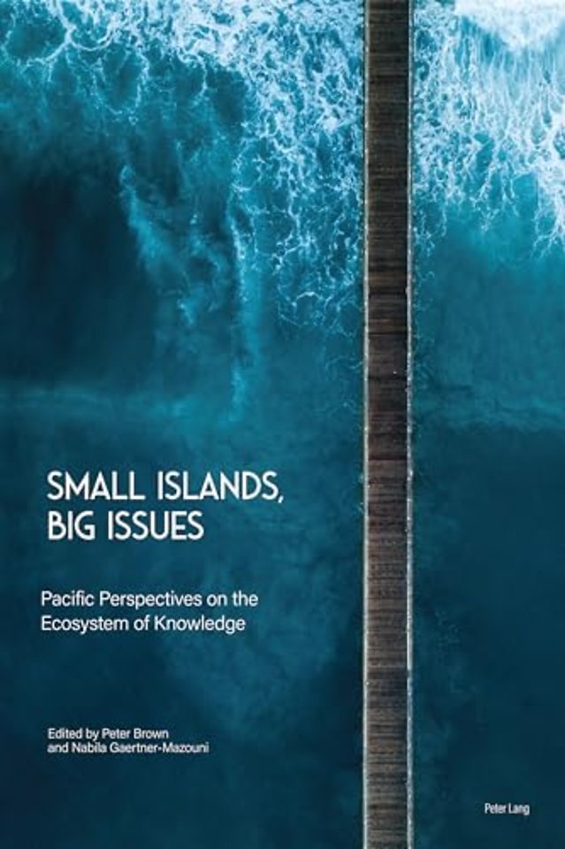 Small Islands, Big Issues