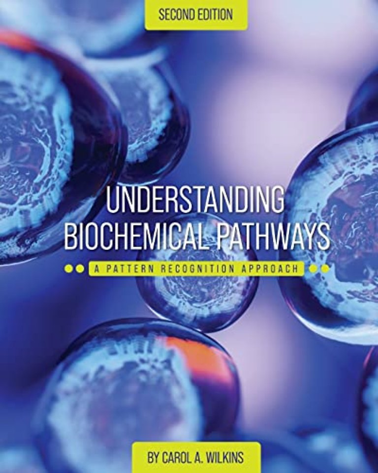 Understanding Biochemical Pathways – A Pattern–Recognition Approach