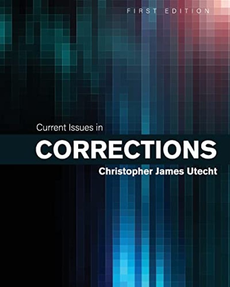 Current Issues in Corrections