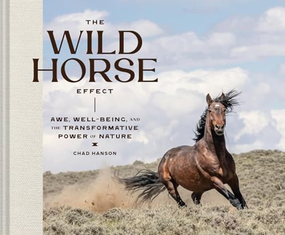 The Wild Horse Effect