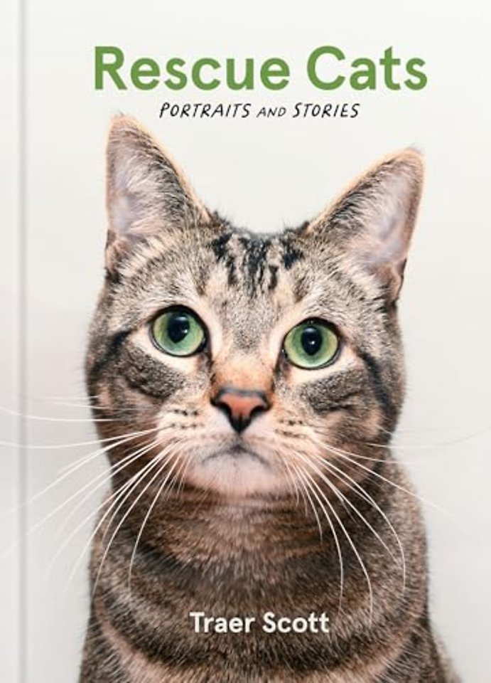 Rescue Cats