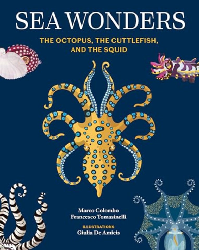 Sea Wonders