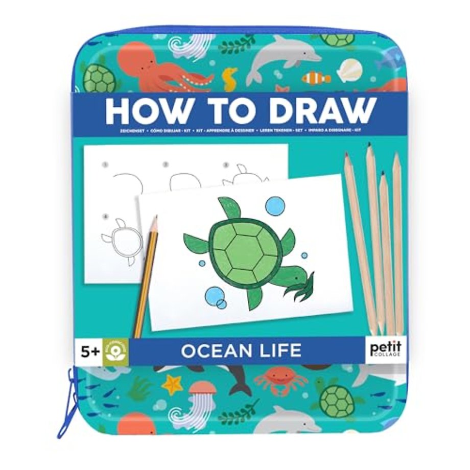 How to Draw Ocean Life